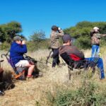 WhatsApp Image 2024-06-08 at 18.17.32_a4b52a45 WhatsApp Image 2024-06-08 at 18.17.32_a4b52a45