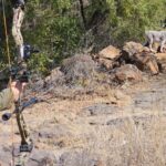 WhatsApp Image 2024-09-01 at 12.13.51_12b68c52 WhatsApp Image 2024-09-01 at 12.13.51_12b68c52